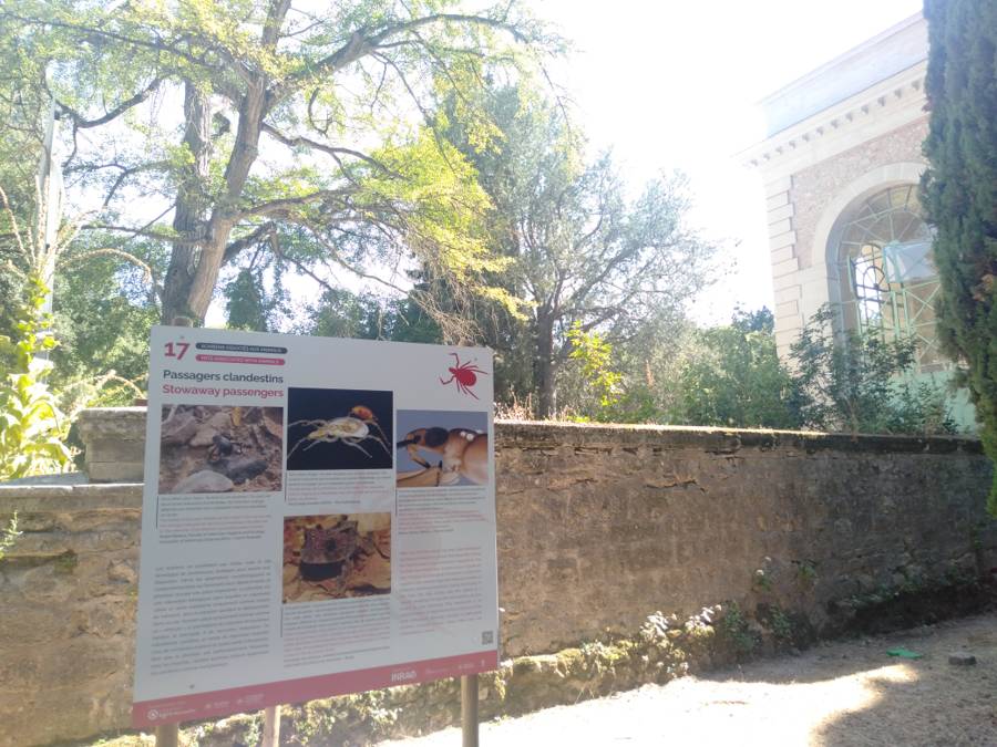 Exposition Les acariens, sentinelles du vivant, Jardin des Plantes, Montpellier (c) Fatma Alilate