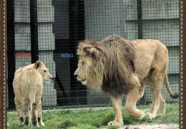 ZOO DU LUNARET À MONTPELLIER