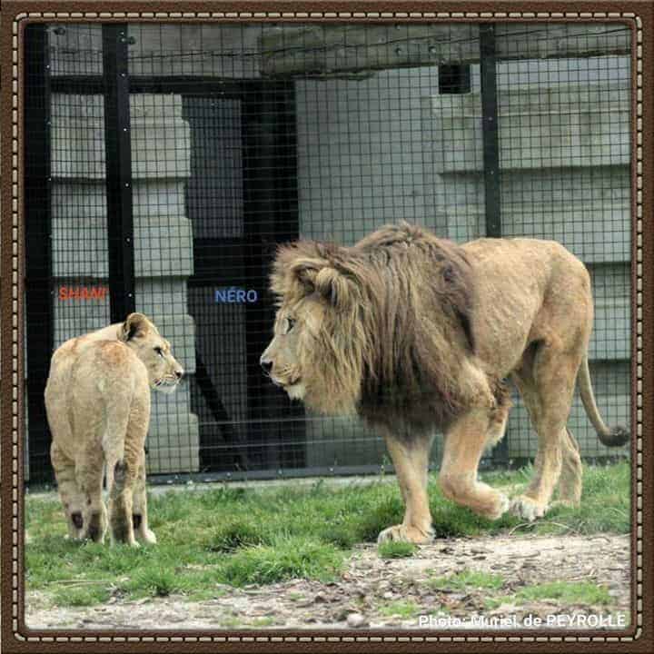 ZOO DU LUNARET À MONTPELLIER