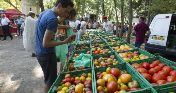9ème Festival de la tomate de Clapiers
