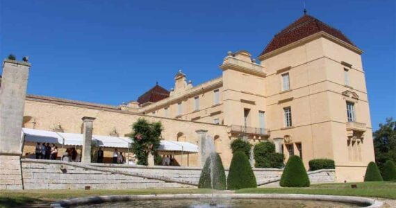 Découvrez la Camargue avec les visites guidées de l'Office de tourisme de Montpellier