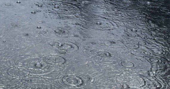 Intempéries : épisode pluvieux moins intense sur Montpellier