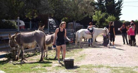 Mauguio : balades à poney gratuites pour la journée du cheval!