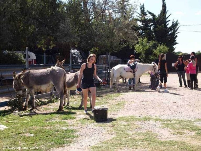 Mauguio : balades à poney gratuites pour la journée du cheval!
