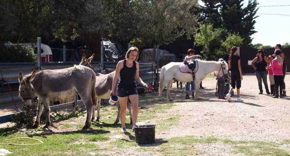 Mauguio : balades à poney gratuites pour la journée du cheval!
