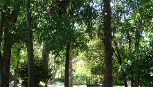 Montpellier : 3 parcs de la Ville labéllisés Eco jardin !