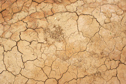 Montpellier : alerte sécheresse dans l'Hérault