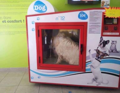 Montpellier : découvrez la machine à laver ... les chiens!
