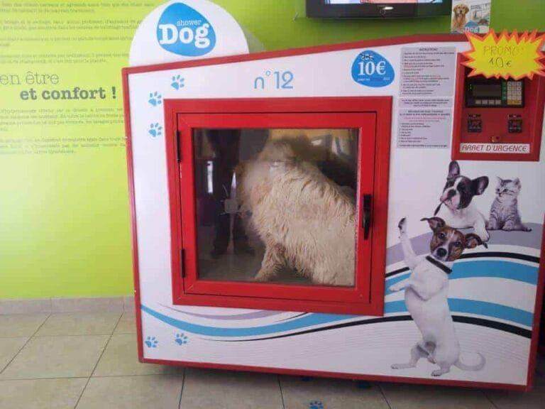 Montpellier : découvrez la machine à laver ... les chiens!