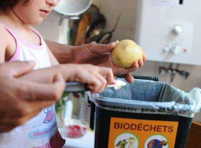 Montpellier : distribution de sacs biodégradables dans les maisons d'agglo