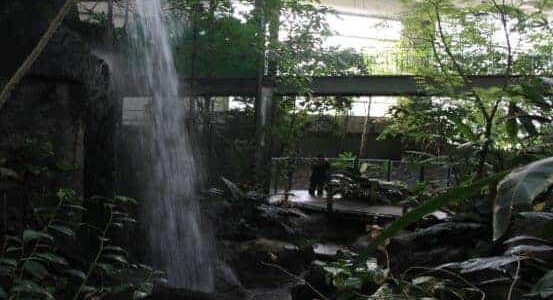 Montpellier : fermeture temporaire de la serre amazonienne du parc zoologique