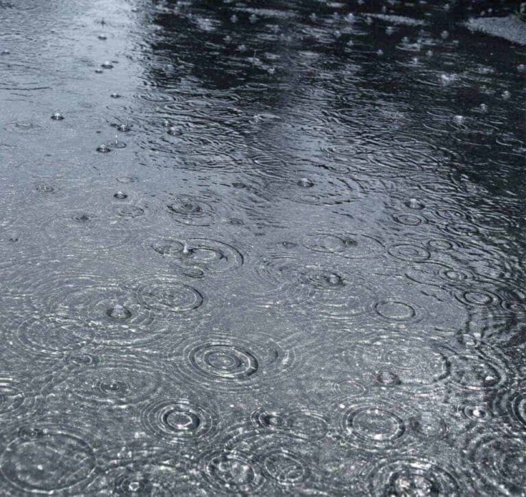 Alerte Météo à Montpellier : Vigilance Orange "Pluie-Inondation"