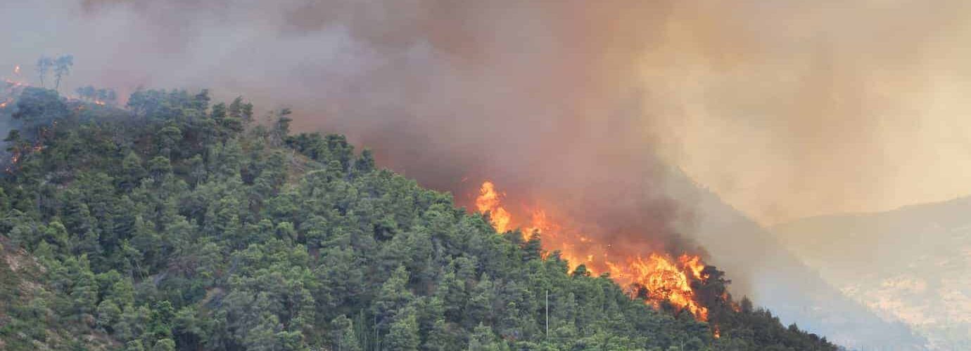 Montpellier : Interdiction totale de l'emploi du feu en Hérault !