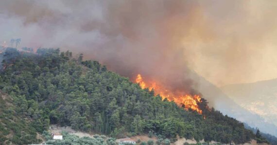 Montpellier : Interdiction totale de l'emploi du feu en Hérault !