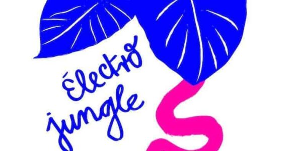 Montpellier : « Klang ! Électro Jungle » à la Salle Molière de l’Opéra Comédie