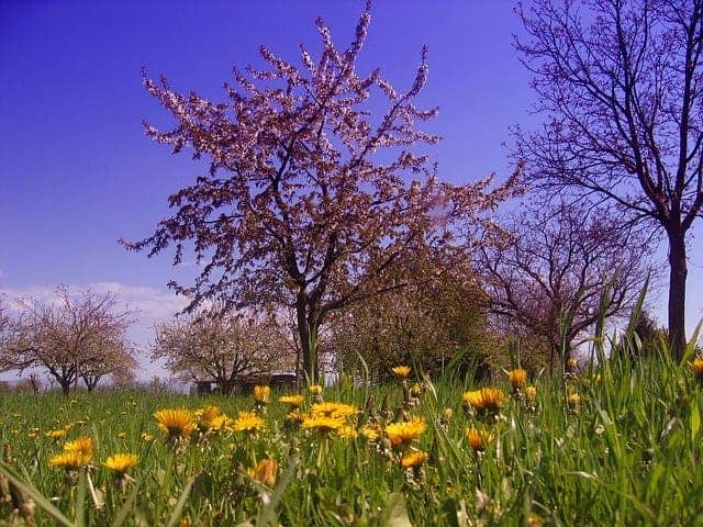 Montpellier : La nocturne de la ZAT au parc Malbosc