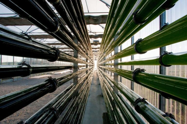 Montpellier : la startup montpelliéraine Microphyt leve 2 millions d’euros !