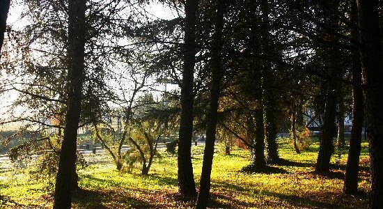 Montpellier : le parc du Château de Grammont fermé jusqu'au 31 août suite aux dégradations