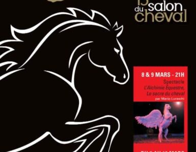 Montpellier : le salon du cheval EquiSud revient au Parc des Expositions
