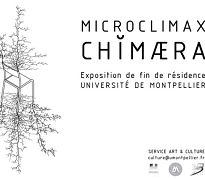 Montpellier : Rencontre des artistes de l'expoisition "Chimaera"