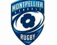 Montpellier Rugby : L'anglais Dylan Hartley, futur joueur du MHR ?