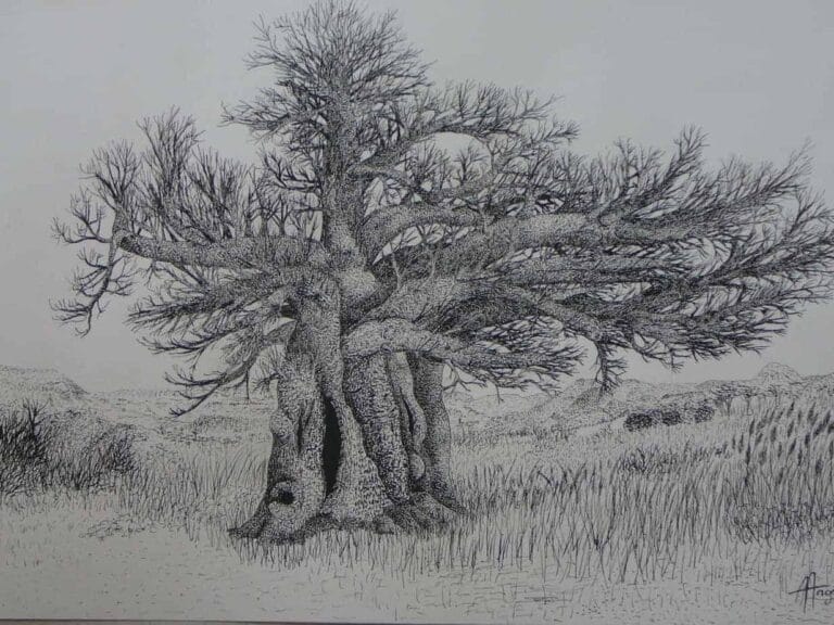 Montpellier : "Safari", l’exposition continue son voyage