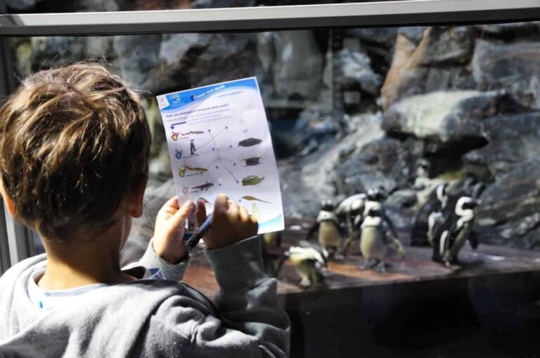 Pâques Montpellier : Chasse aux œufs à l’aquarium Mare Nostrum