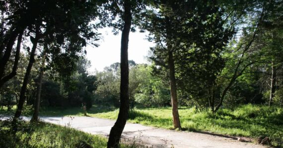 Risque incendies : fermeture parc naturel et Bois de Montmaur à Montpellier