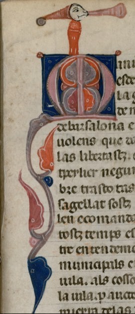 Montpellier : Le « Petit Thalamus », un manuscrit du Moyen Âge qui révèle la ville
