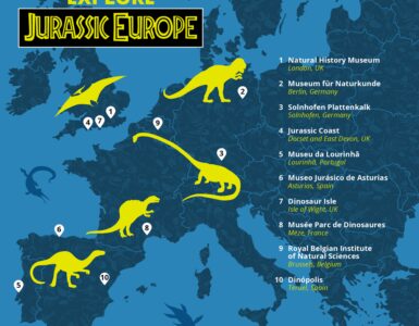 Tourisme : De vrais dinosaures à 1h de Montpellier