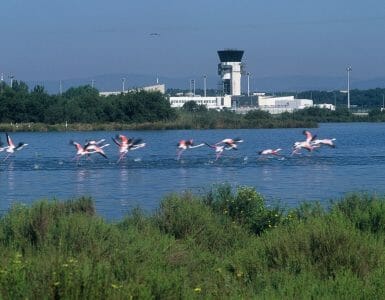 L’aéroport de Montpellier s'engage encore plus pour l'environnement