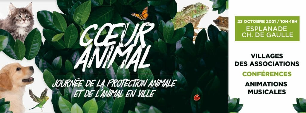 Montpellier : une journée en faveur de la protection de l'animal