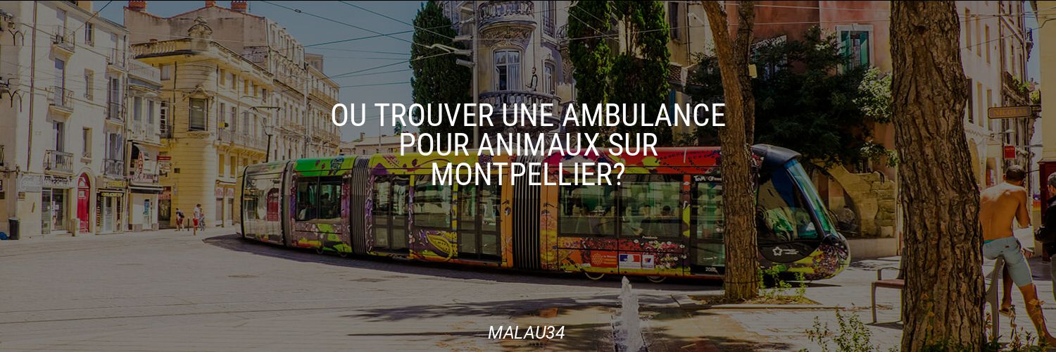 Où trouver une ambulance pour animaux sur Montpellier?