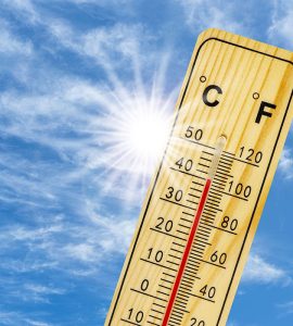 Canicule Montpellier : Comment s'y préparer ?