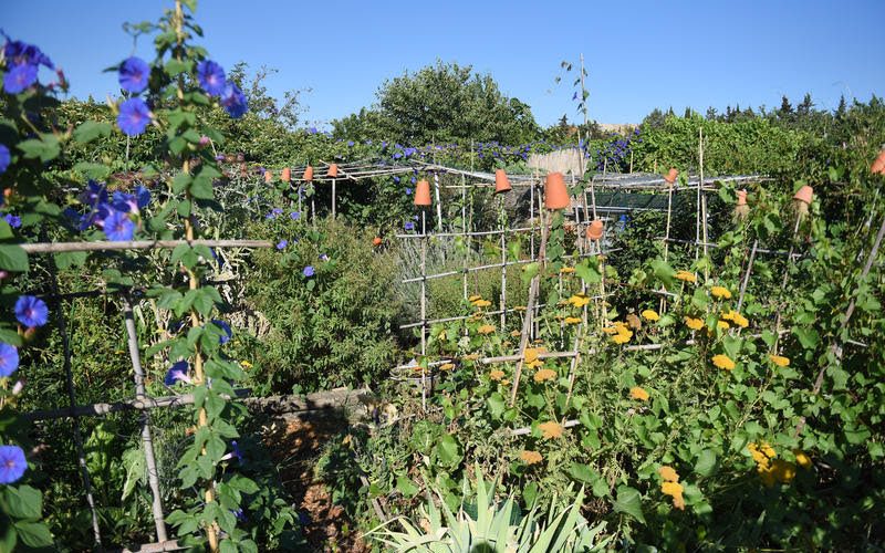 jardins familiaux de Malbosc