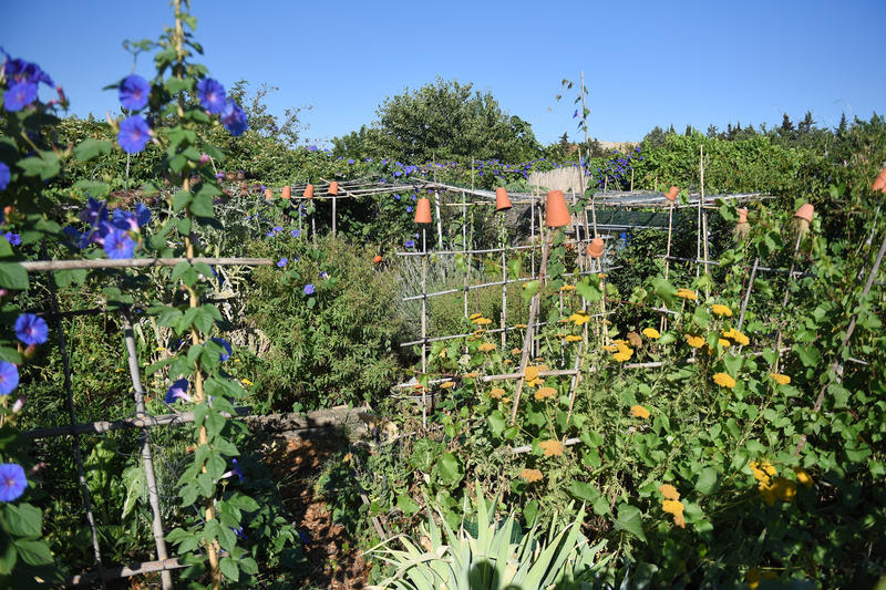 jardins familiaux de Malbosc