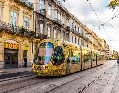 Interruption du service de bus et de tramway à Montpellier : ce qu'il faut savoir
