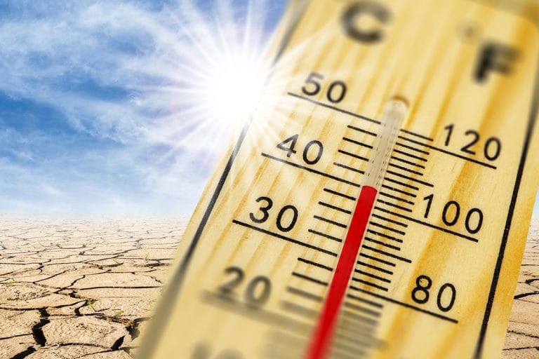 Montpellier : Nouveau Record de Chaleur