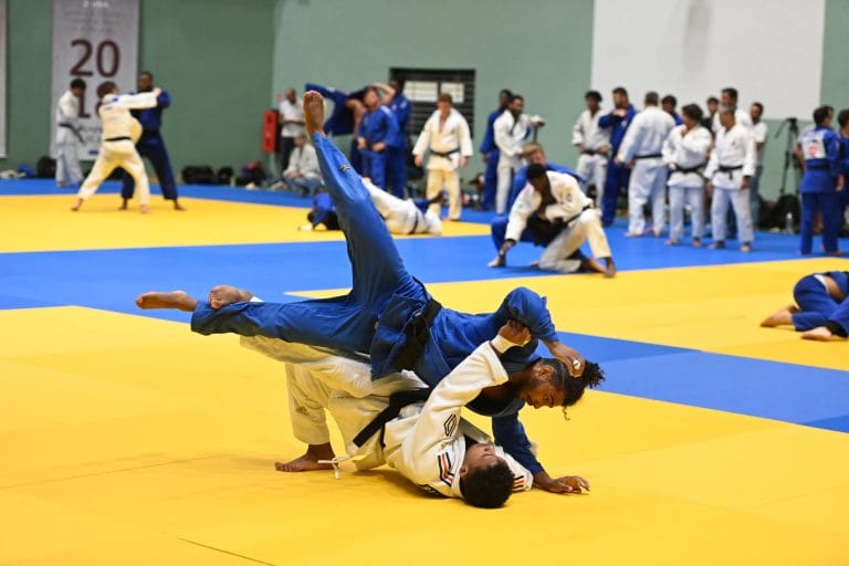 Montpellier : Terre de Judo
