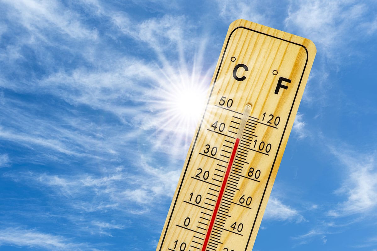 Alerte Rouge Canicule à Montpellier : Pic de Chaleur à 39° Mercredi