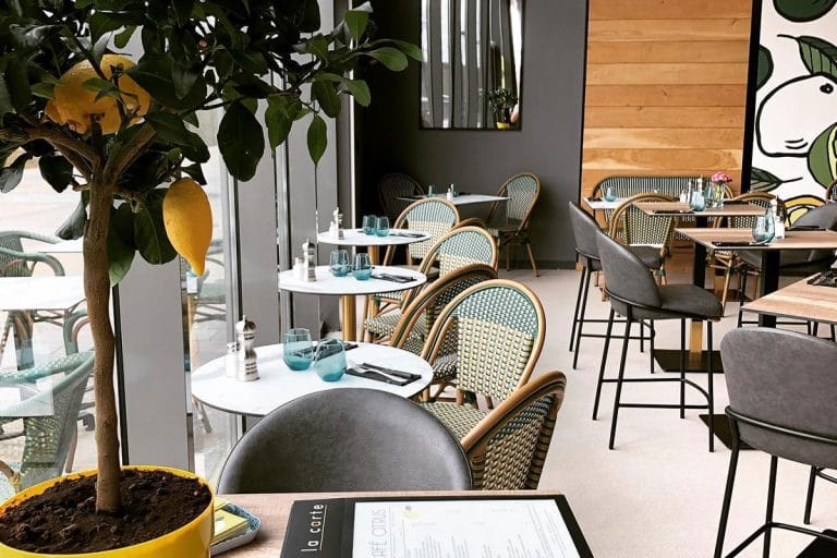 Café Citrus Montpellier : Un Écrin Méditerranéen au Bord du Lez 24 Café Citrus Montpellier