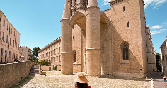 Explorez les Trésors Cachés de Montpellier : Visites Guidées Inédites des Monuments Iconiques !