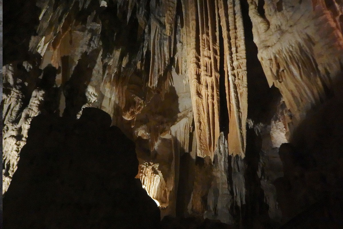Grotte Des Demoiselles : Une Merveille Souterraine Incontournable