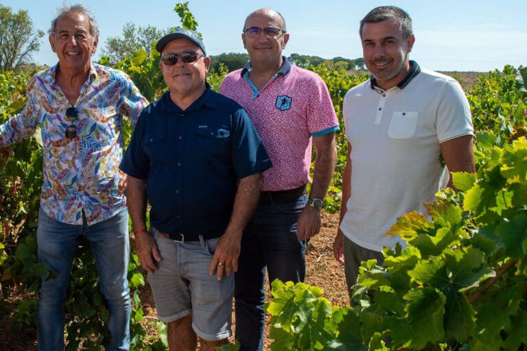 Lâchers de Trichogrammes : Une Nouvelle Arme Biologique Contre Les Ravageurs de la Vigne