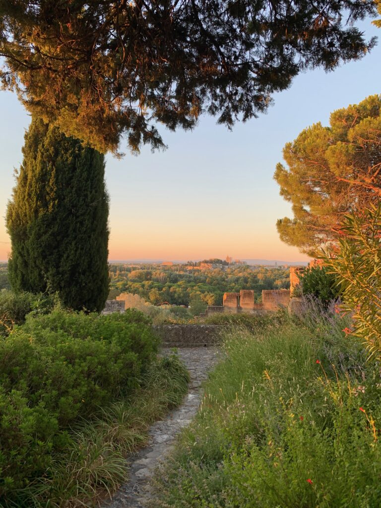 Gustave Fayet, ses jardins imaginaires à l’Abbaye Saint-André